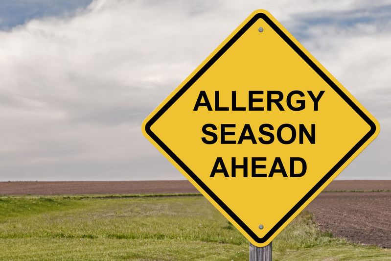 allergy season and nokout