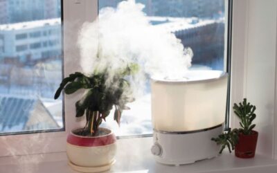 Safe Humidifier Use Eases the Pain!
