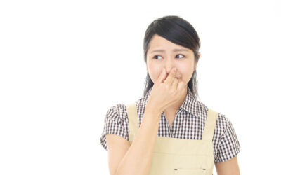 Something Smells Fishy: How to Troubleshoot Odors in your Home