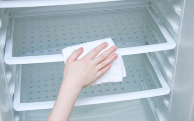 Refrigerator Odor / Freezer Odor