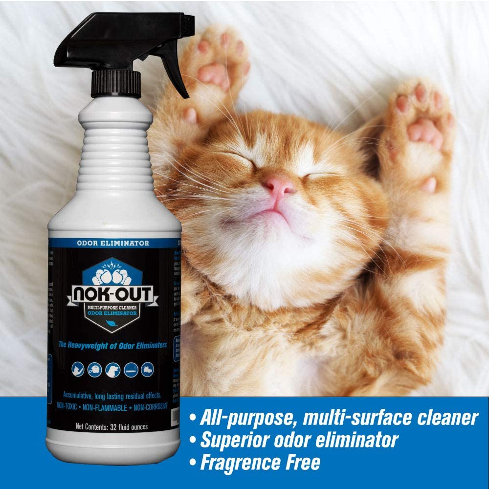 Cute Kitty and Nok-Out Odor eliminator bottle