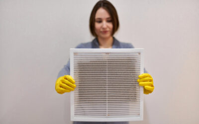 Mold In Your HVAC Unit?
