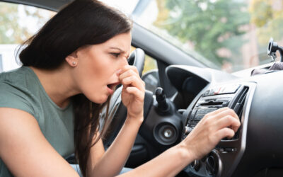 Mold Odor In Your Car